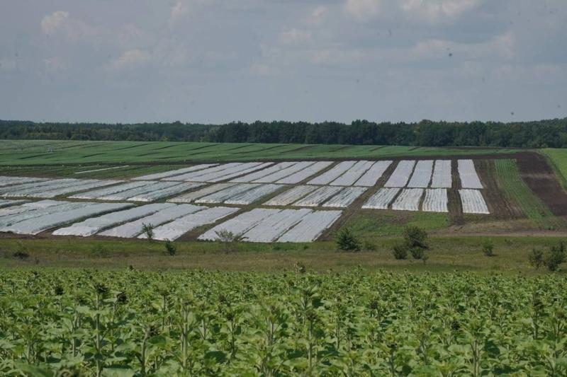 Инициативы экспертов в сфере АПК нашли отражение в проекте областного бюджета на предстоящую трехлетку