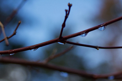 В Самарской области прогнозируют дожди и потепление до +10