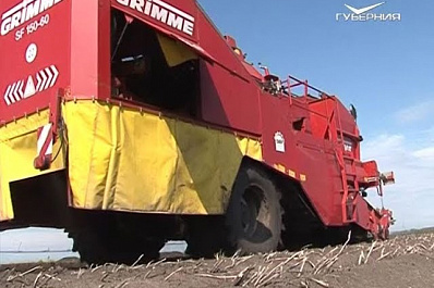 Глава областного Минсельхоза рассказал о положении дел в самарском АПК