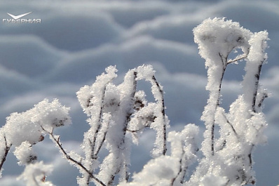 Врач-оториноларинголог рассказал самарцам о пользе увлажнителей в зимний период