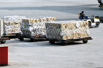 На границе Самарской области изъяли тонну контрафактных продуктов