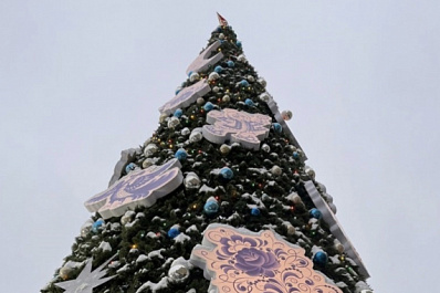 Вице-премьер Дмитрий Григоренко исполнит новогоднее желание 6-летней девочки из Самары