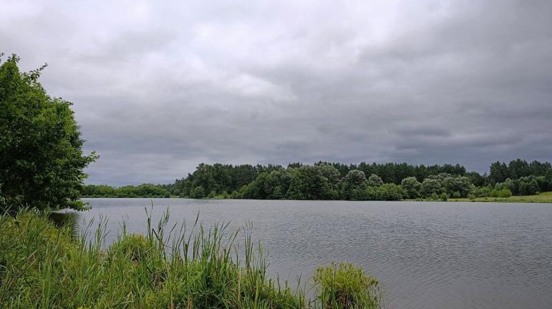 В Новокуйбышевске проверяют чистоту водоемов