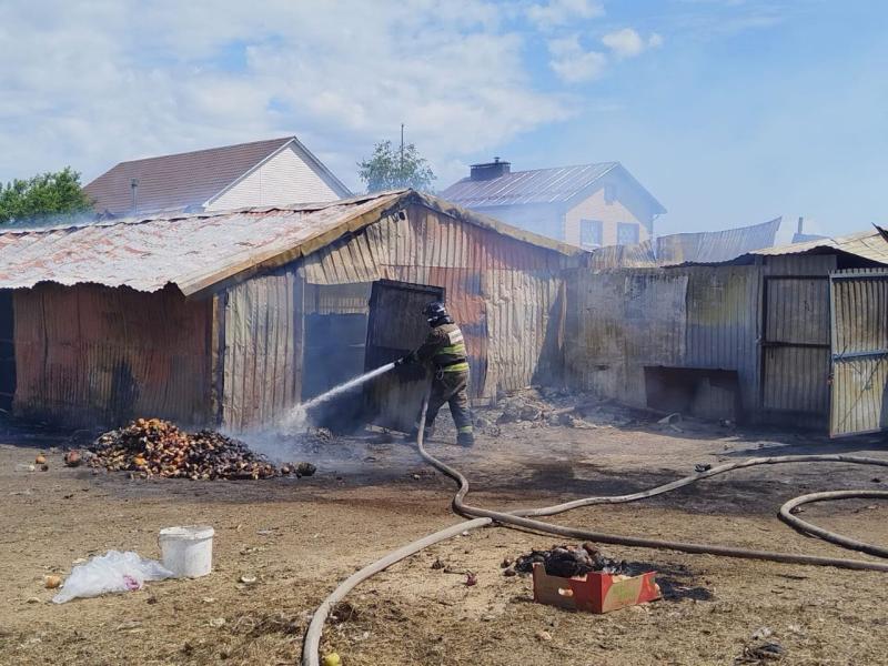 В Самарской области из-за вспыхнувшей бани погибли животные