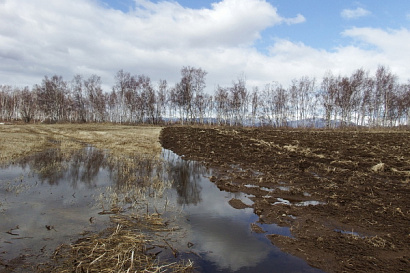 Название статьи