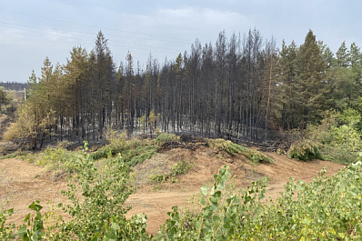 Следственный комитет начал проверку из-за пожара в Борском районе