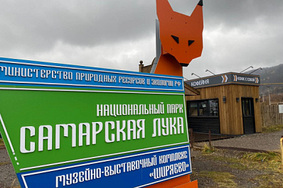 В "Самарскую Луку" впервые за 35 лет прилетела краснокнижная горлица