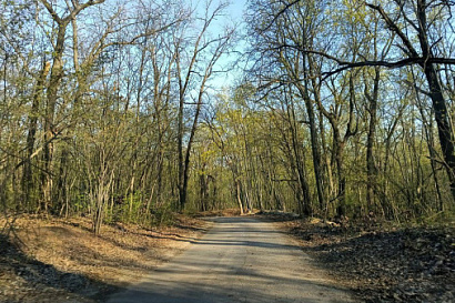 Название статьи