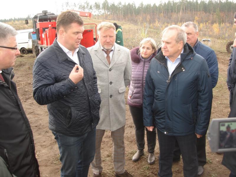 В Самарской области подвели промежуточные итоги реализации госпрограммы по развитию лесного хозяйства