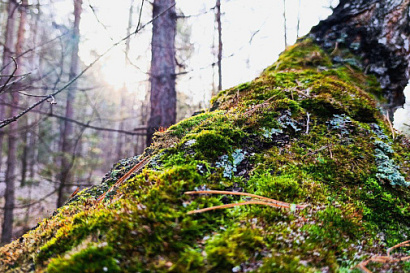 Название статьи