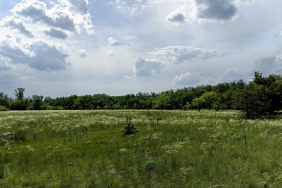 Погода на 26 мая 2025 года: народные приметы и прогноз синоптиков