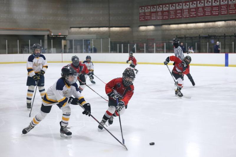В российских школах предложили проводить уроки хоккея с действующими игроками КХЛ