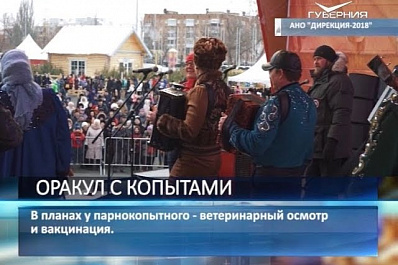 Жители Самарской области выбрали в качестве оракула ЧМ-2018 козу Забияку