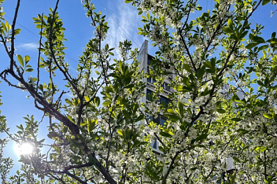 Погода на 4 мая 2025 года: народные приметы и прогноз синоптиков