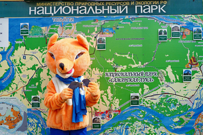 В "Самарской Луке" встретили магаданского белоплечего орлана