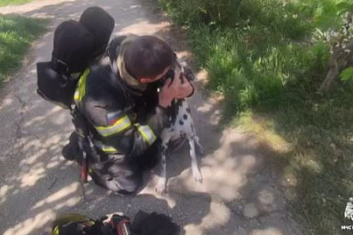 Пожарные спасли из горящей многоэтажки собаку