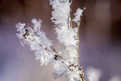 Самарцев застанут настоящие морозы до - 11 °C