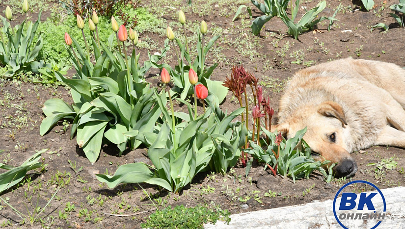 23 апреля в истории и архиве "ВК"