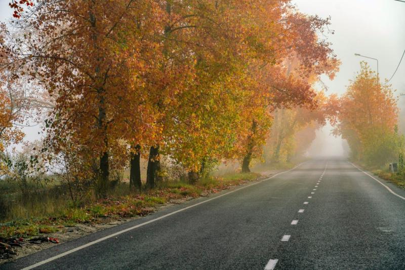 В Самарской области 18 ноября теплая погода побила 23-летний рекорд