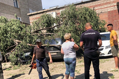 В Самаре крупное дерево раздавило четыре машины