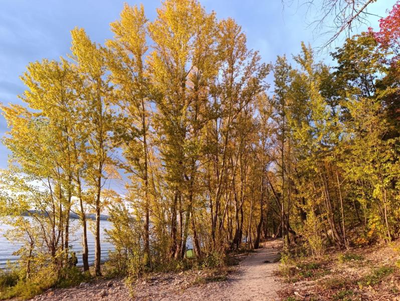 В Самарской области 29 сентября будет солнечно, но прохладно