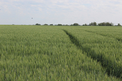 В Борском районе успешно занимаются агробизнесом, модернизируют инфраструктуру, развивают туризм