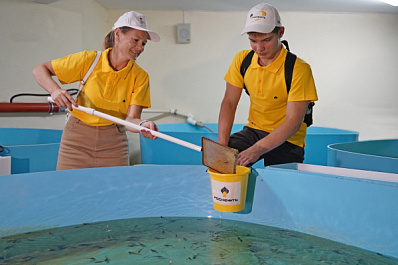 Сотрудники Куйбышевского НПЗ выпустили в Волгу у села Винновка более 27 тысяч мальков стерляди