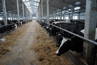 Читайте в свежем выпуске газеты "Волжская коммуна" 11 февраля