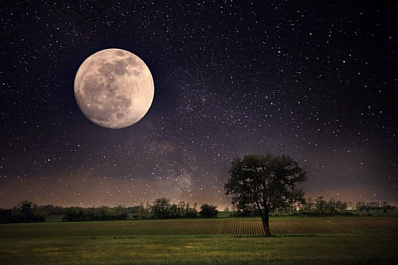 Сон в ночь с 1 на 2 марта 2024 года: толкование по лунному календарю