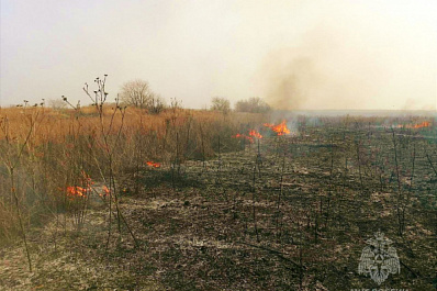 В Самарской области за сутки произошло 44 пожара из-за пала сухой травы