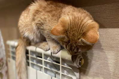 Эксперты расскажут о подготовке к предстоящему холодному сезону