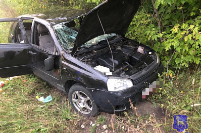 На трассе в Самарской области "Калина" оказалась в кювете