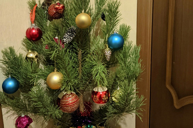 Стало известно, куда и когда в Тольятти можно сдать отслужившую новогоднюю елку