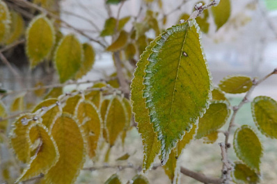 В Самарской области 19 ноября будет морозно и безветренно