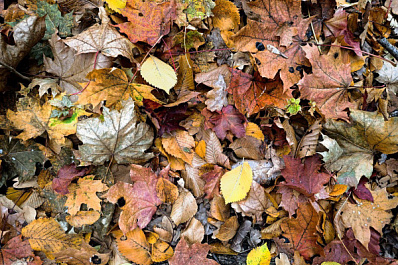 Погода на 8 октября 2025 года: народные приметы и прогноз синоптиков