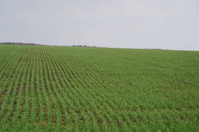 Народные приметы на 14 июля 2025 года: что нельзя делать в этот день