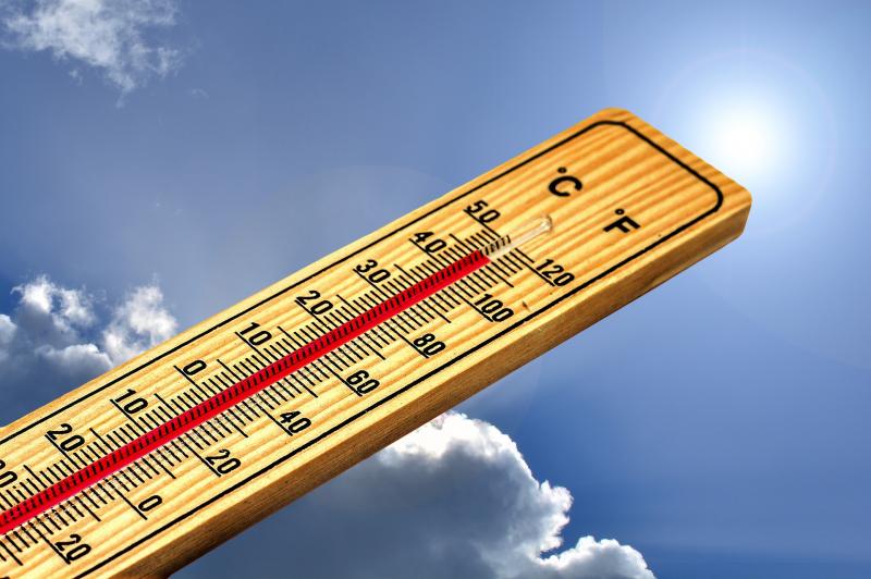 Аномальная жара в Самарской области 4 августа побила три рекорда