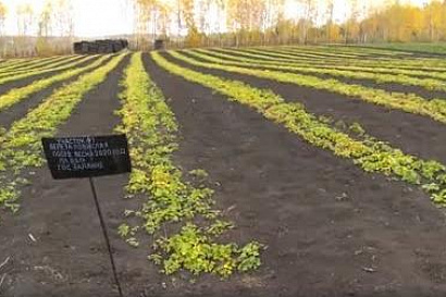 Название статьи