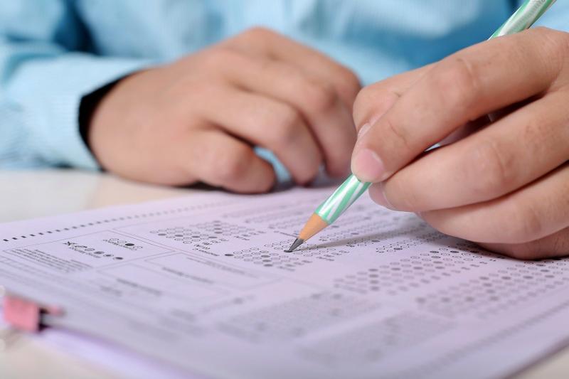 Более 100 нижегородских школьников получили высший балл по ЕГЭ