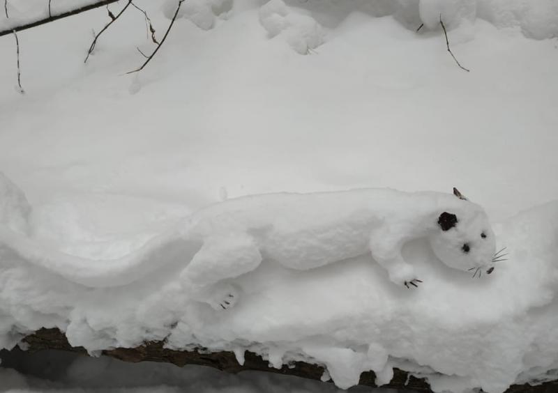 Совята, медведь и выдра: в Сызрани появился снежный "скульптор"