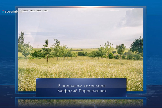 Мефодий Перепелятник. Календарь Губернии от 3 июля