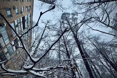 Народные приметы на 4 декабря 2025 года: что нельзя делать в этот день