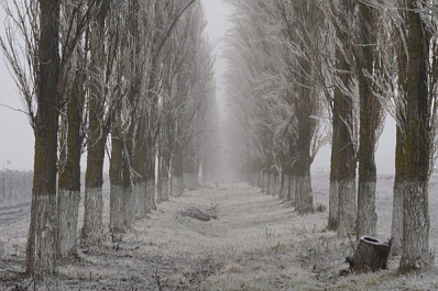 В горах Жигулевского заповедника выпал первый снег 
