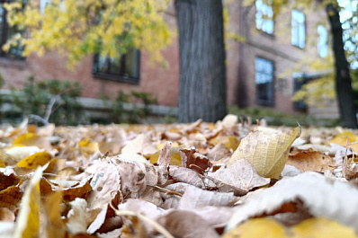 Октябрь в Самарской области будет суше, чем обычно