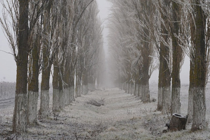 Название статьи