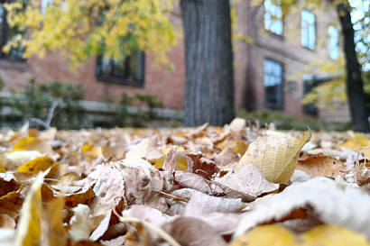 Название статьи