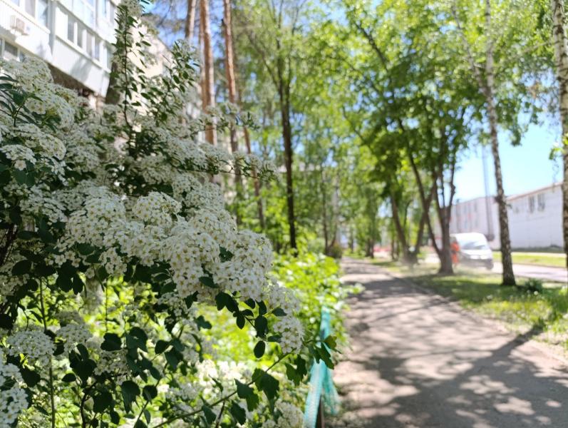 В Самаре бульвар на улице Чернореченской благоустроят к концу октября