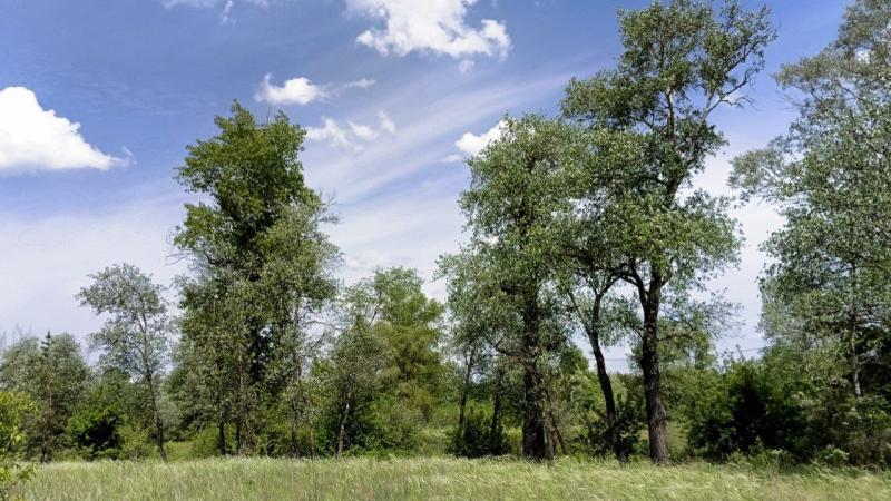 Вячеслав Федорищев: в Самарской области в селе Узюково не будет нового мусорного полигона