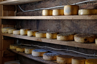 Российских предпринимателей оштрафовали за поставку поддельных молочных продуктов в больницы и детсады