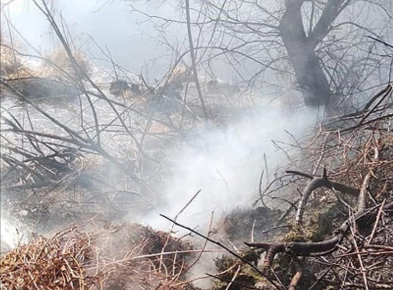 В Ставропольском районе Самарской области выросло число пожаров